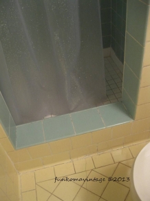 the tiled shower